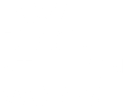 HOW BLACK sTALLION WORKS
